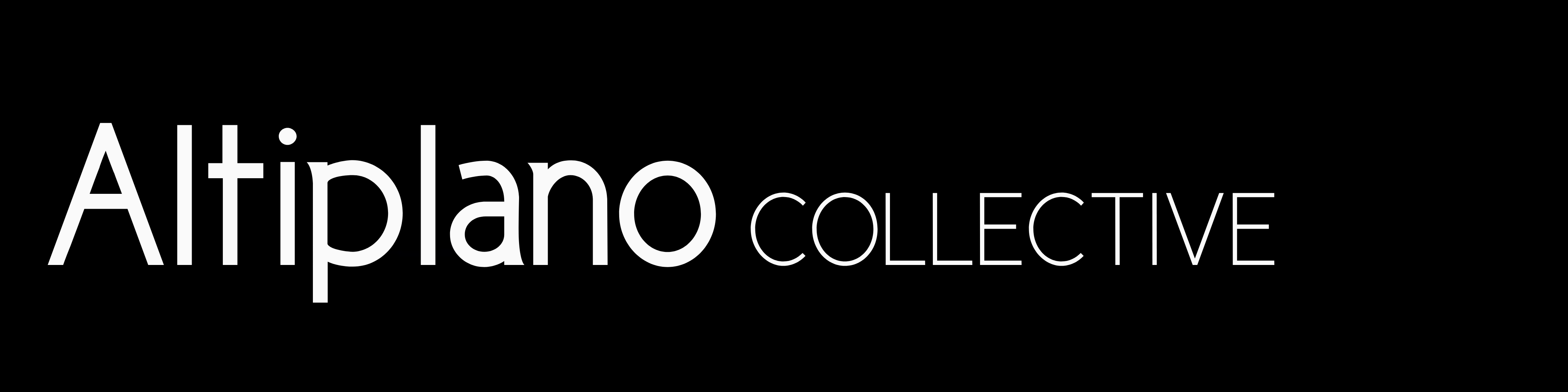 Altiplano Collective, shop