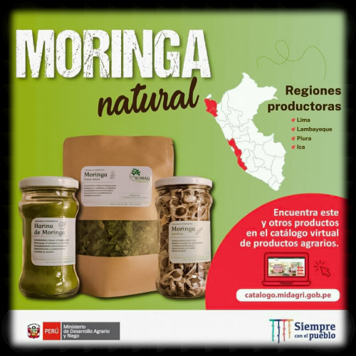  Moringa natural - Regiones productoras 