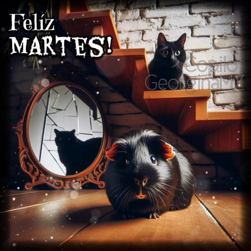 Felíz Martes