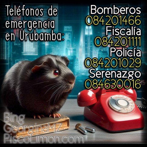Teléfonos de emergencia en Urubamba