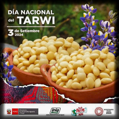 Día Nacional del Tarwi