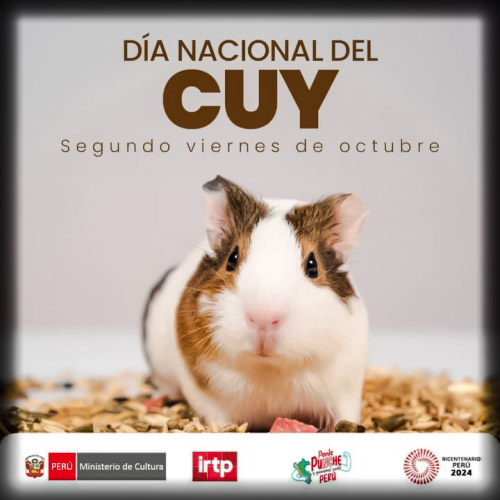 Día Nacional del Cuy