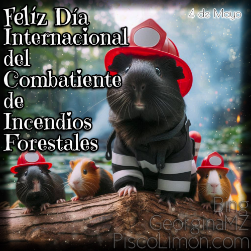 Día Internacional del Combatiente de Incendios Forestales