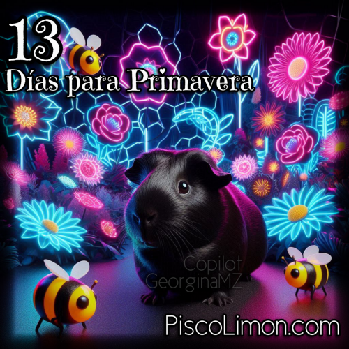 Primavera - Sólo 13 días