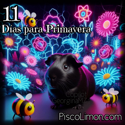 Primavera - Sólo 11 días