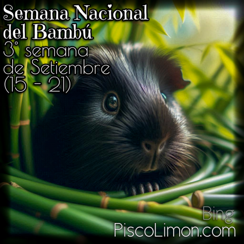 Semana Nacional del Bambú