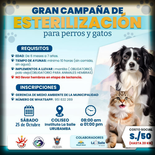 Campaña de Esterilización de perros y gatos en Urubamba