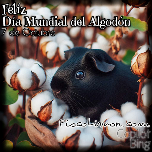 Día Mundial del Algodón