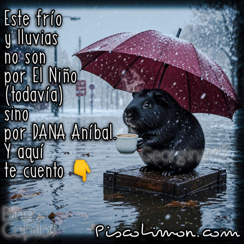 DANA Aníbal